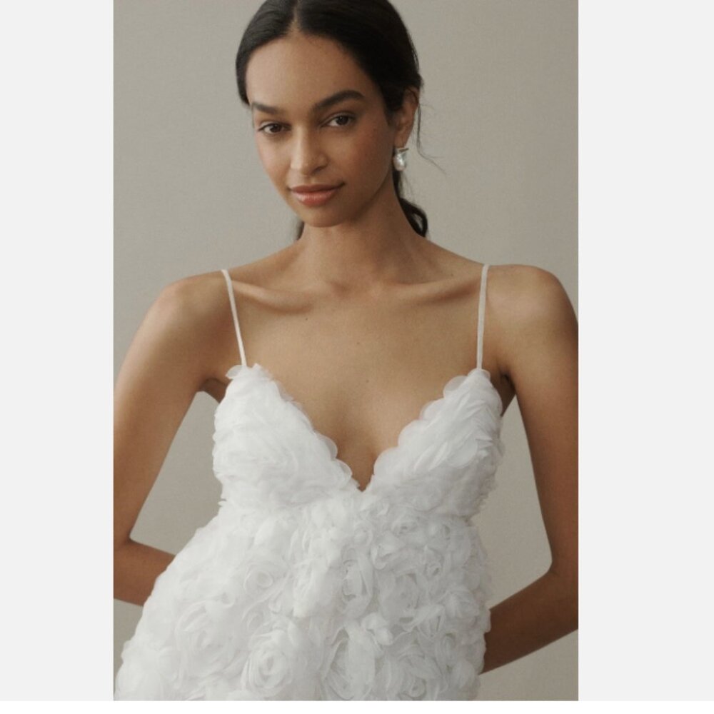 Brand New Anthropologie BHLDN V-Neck Tulle Rosette Mini Dress - Picture 5 of 12